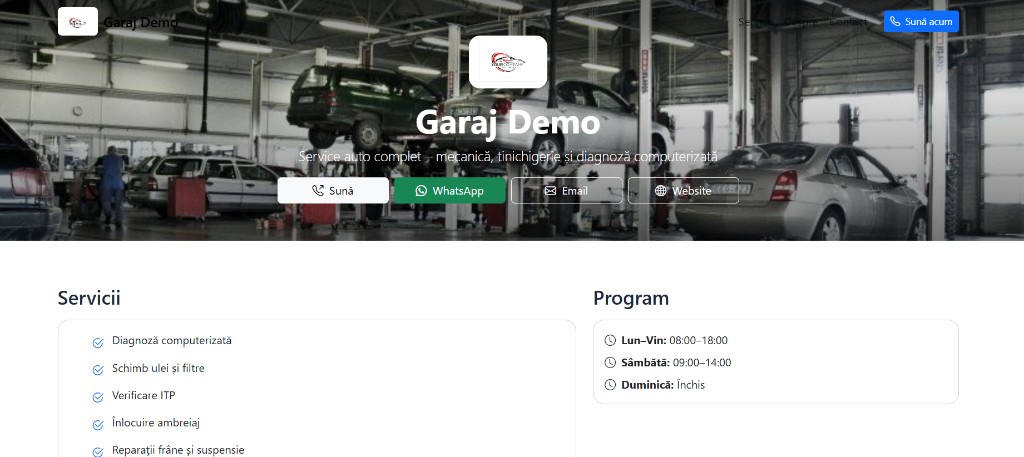Exemplu pagină publică Garaj Demo pe DevizService